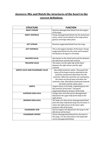 GCSE PE structure and function of heart and blood vessels