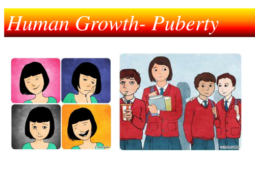Puberty and adolescence ks3