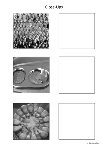 Close-Ups Drawing Skills Worksheet