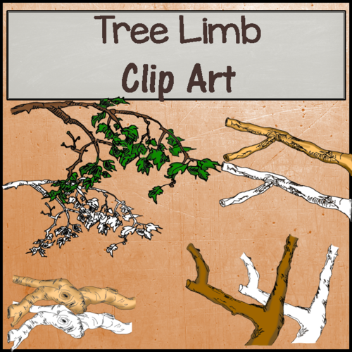 Tree Limbs Clip Art - B&W & Color