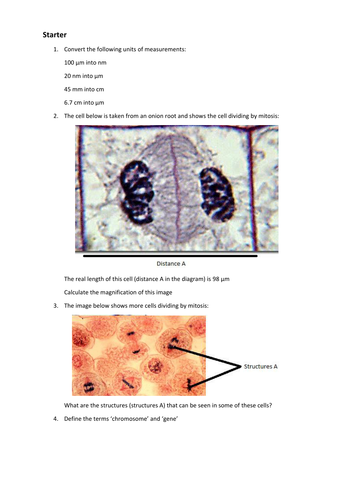 Mitosis starter activity