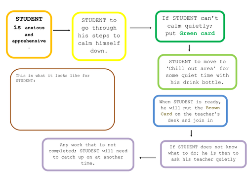 Behaviour Support Plan