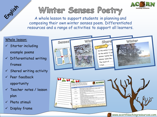 English - Poetry - Winter Senses Poem