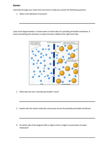 Osmosis starter worksheet by cmrcarr - Teaching Resources 