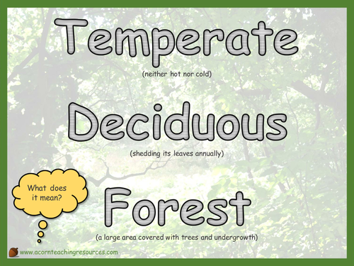 Geography - Display - Temperate Deciduous Forest definition