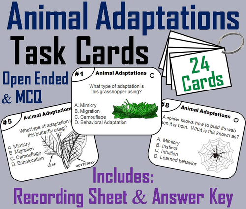 Animal Adaptations Task Cards