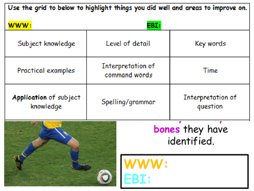 Joints - AQA New GCSE PE Specification