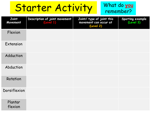 Joint Movements - NEW AQA GCSE PE Specification