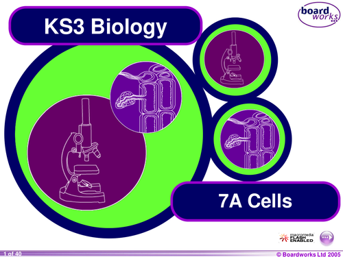 This resource is a KS3 year 7 Biology resource power point display on Cells.