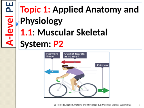 A-level PE EDEXCEL (Spec 2016) 1.1: Muscular Skeletal System (Part 2)