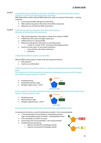 AQA Biology Nucleic Acids Notes for new spec