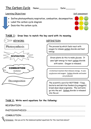 Carbon Cycle Worksheet by keene_eleanor - Teaching ...