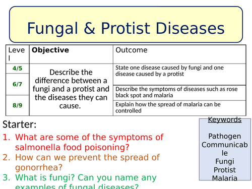 NEW AQA GCSE (2016) Biology lesson - Fungal & Protist Diseases