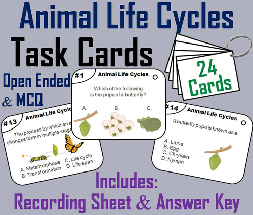 Animal Life Cycle Task Cards