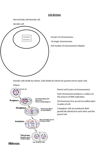 GCSE Additional Biology Topic 1 | Teaching Resources