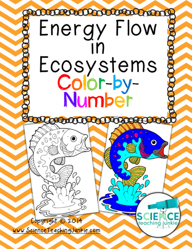 Energy Flow in Ecosystems Color-by-Number