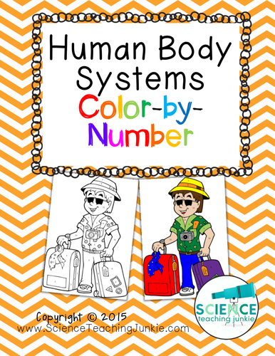 Human Body Systems Color-by-Number