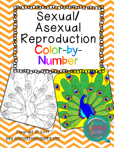 Sexual / Asexual Reproduction Color-by-Number