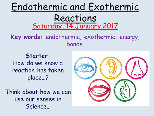 Endothermic and Exothermic Reactions