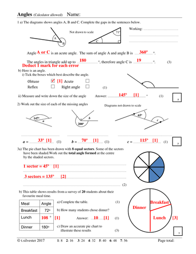 Angles homework or revision resource