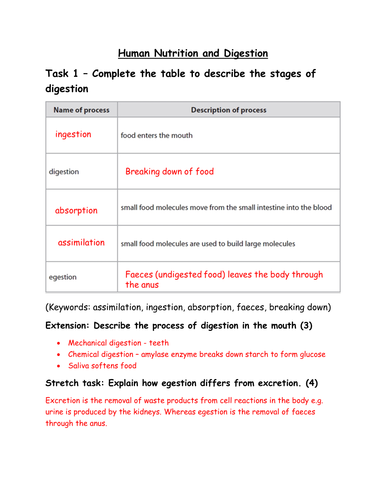 GCSE Biology - Human Nutrition and Digestion Worksheet (with answers)