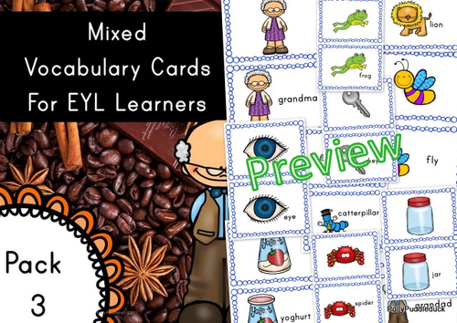 EYL Vocabulary Cards Pack 3 (EYL/ELL/ESL/EFL.EYFS/KS1)