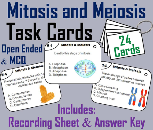 Mitosis and Meiosis Task Cards