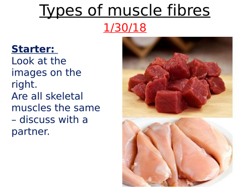 Fast And Slow Twitch Muscle Fibres By Alevelbiologyforthenewteacher 