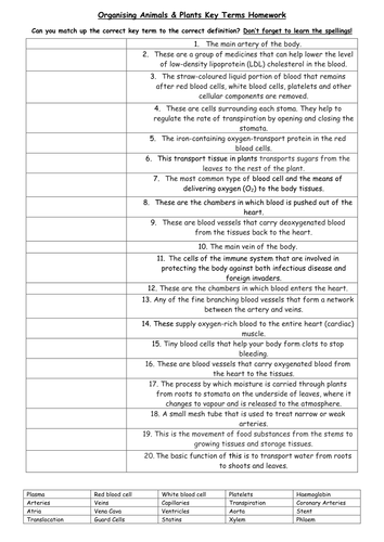 AQA Organising Animals & Plants Topic Key Terms Sheet