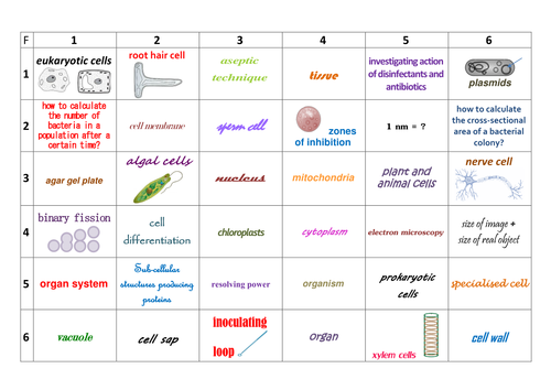 New AQA GCSE Biology: Cell Biology Learning Grid