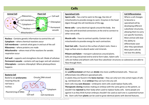 Cells Revision Sheet (new AQA) by teachsci1 - Teaching Resources - Tes