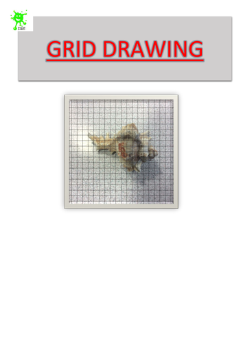 Art. Grid Drawing. Shell 3