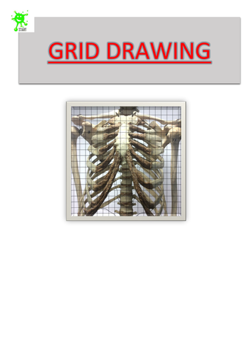 Art. Grid Drawing. Rib cage 3