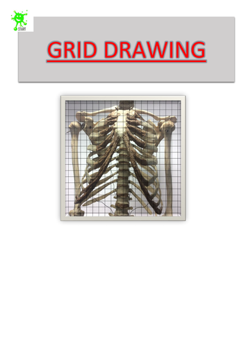 Art. Grid Drawing. Rib cage 2