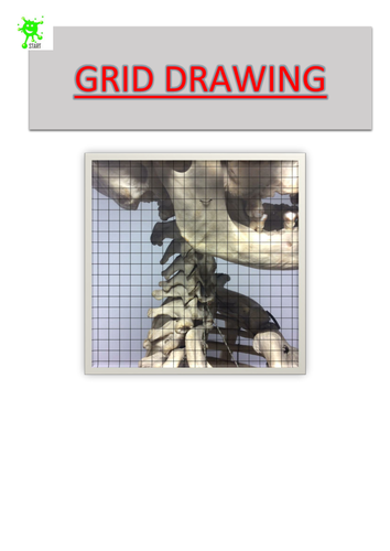 Art. Grid Drawing. Neck bones