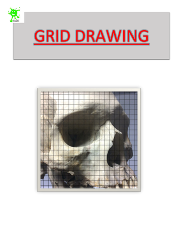 Art. Grid Drawing. Skull close up view