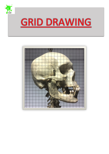 Art. Grid Drawing. Skull side view 2