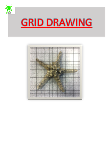 Art. Grid Drawing. Starfish