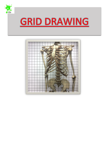 Art. Grid Drawing. Skeleton front torso