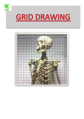Art. Grid Drawing. Skeleton torso