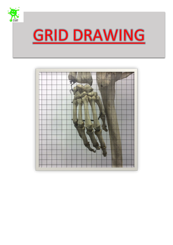 Art. Grid Drawing. Hand bones.