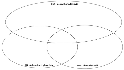 AQA Biological Molecules 3.1.5.1 DNA & RNA and 3.1.6 ATP Venn diagram comparison