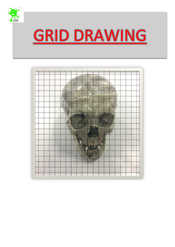 Art. Skull Grid Drawing 12