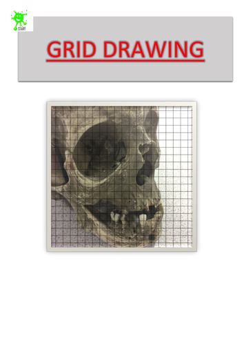 Art. Skull Grid Drawing 8