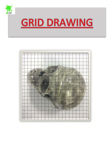Art. Skull Grid Drawing 3