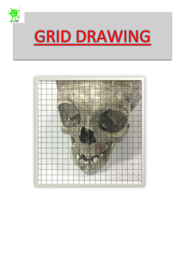 Art. Skull Grid Drawing 2