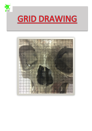 Art. Skull Grid Drawing 1