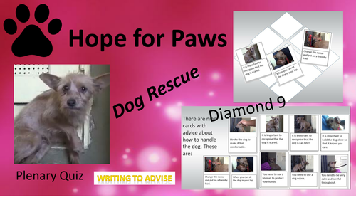 Charity Writing - Dog Rescue Lesson