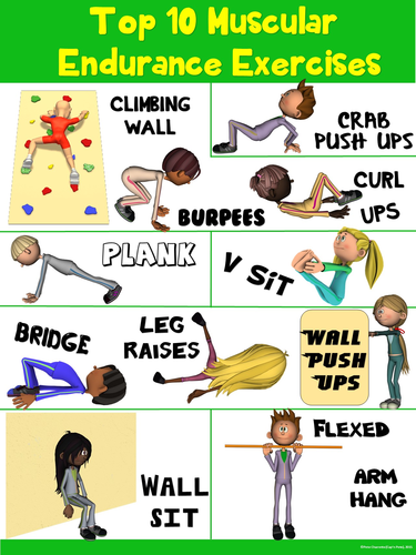 PE Poster: Top 10 Muscular Endurance Exercises