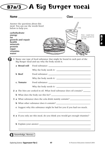 Scooby Doo Science - Diet